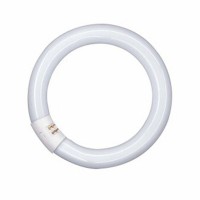 Osram L 32W/865 C Ringform Lumilux Daylight G10q (früher 32W/11-765)