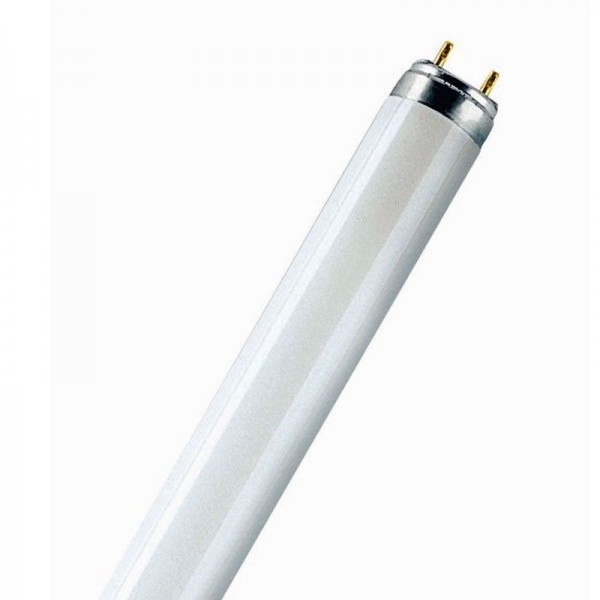 Leuchtstoffröhre dimmbar T8 G13/30W 2400 lm 2700 K
