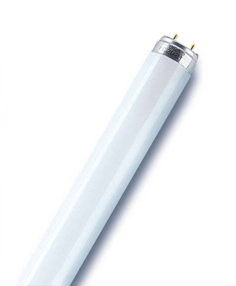 Buy OSRAM Fluorescent tube starter ST1111 4/65W 2-piece set 230 V 4 up to  65 W