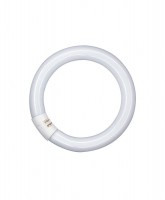 Osram L 32W/840 C G10q Ringform Lumilux kaltweiß dimmbar